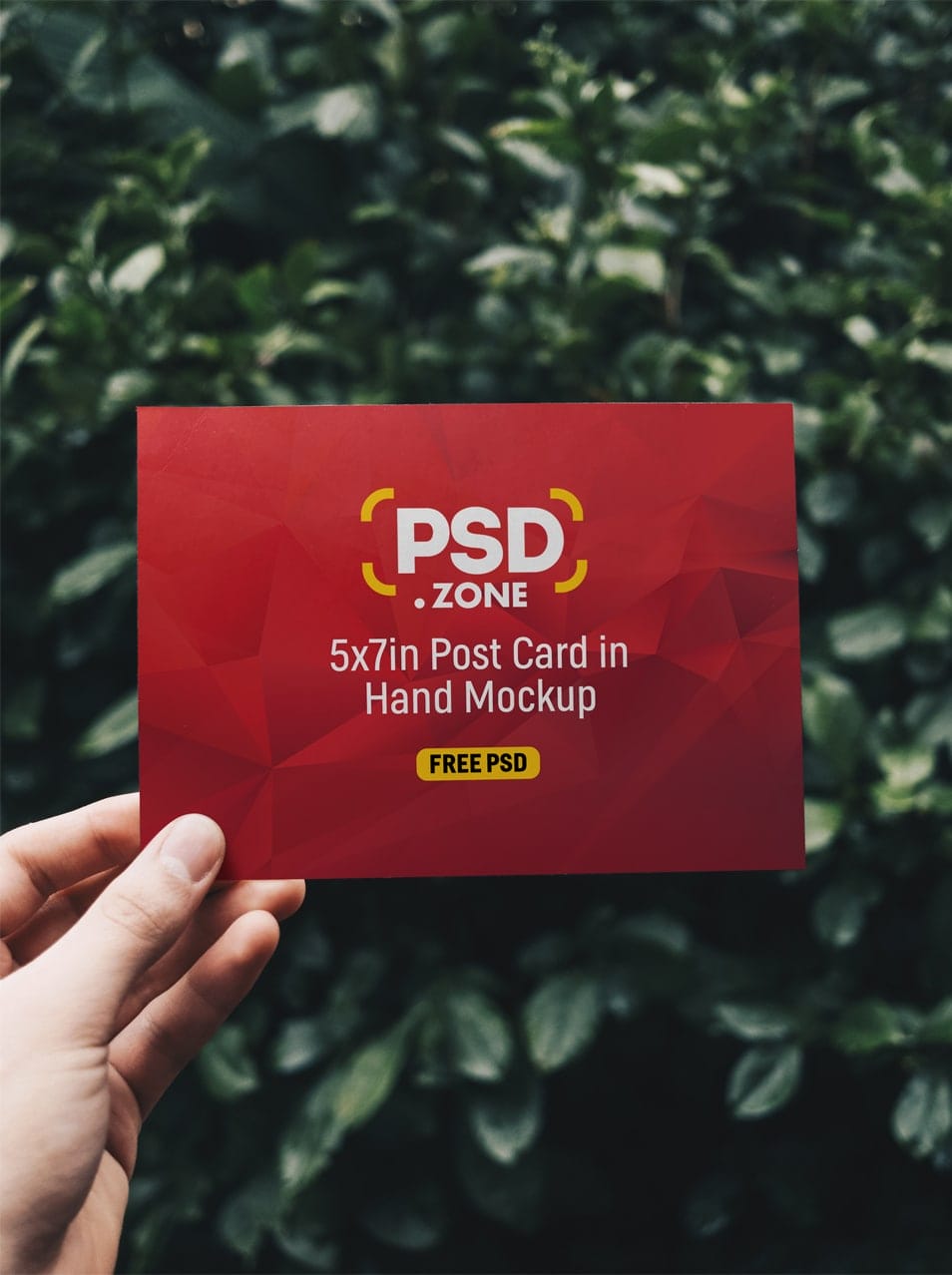 Post Card in Hand Mockup PSD