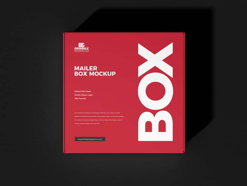 Free Mailer Box Mockup