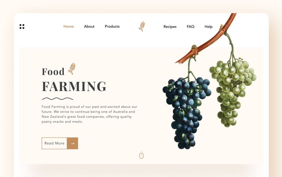 Organic Food Farming Website