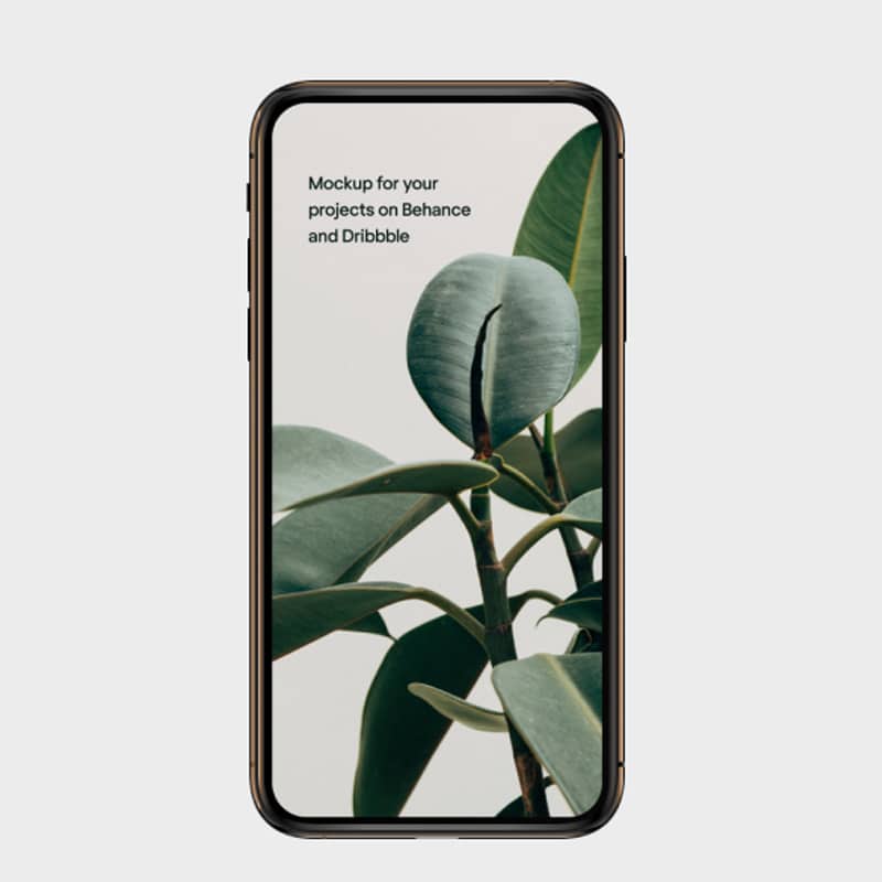 iPhone XS Free Mockup Gold Brown