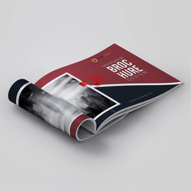 Free Business Open Catalogue Mockup