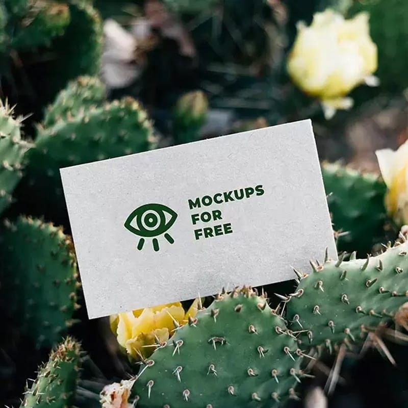 Business Card Among Cacti Mockup