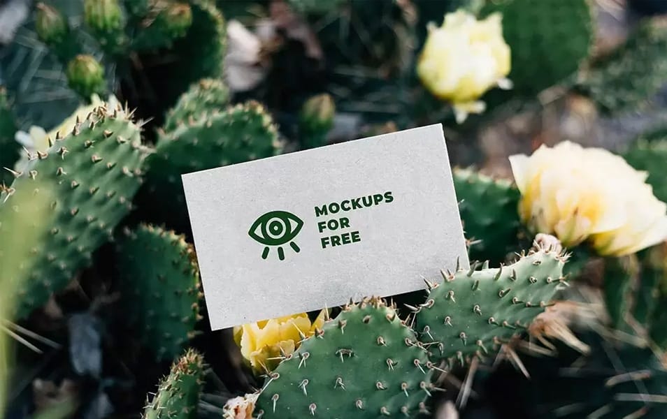 Business Card Among Cacti Mockup