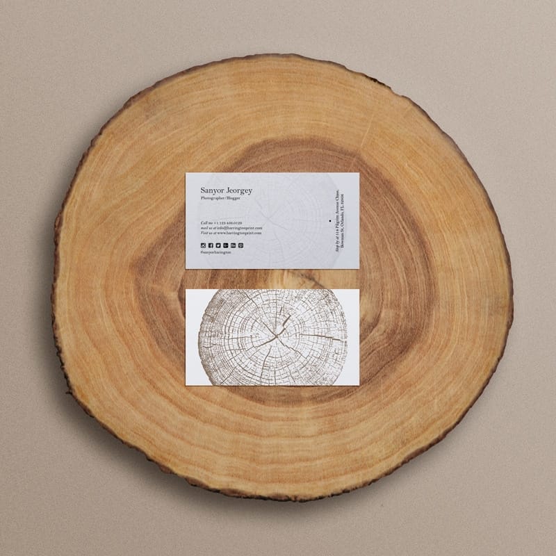 Business Card Mockup on Wooden Stump
