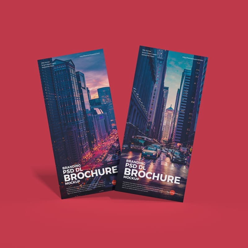 Free Branding PSD DL Brochure Mockup