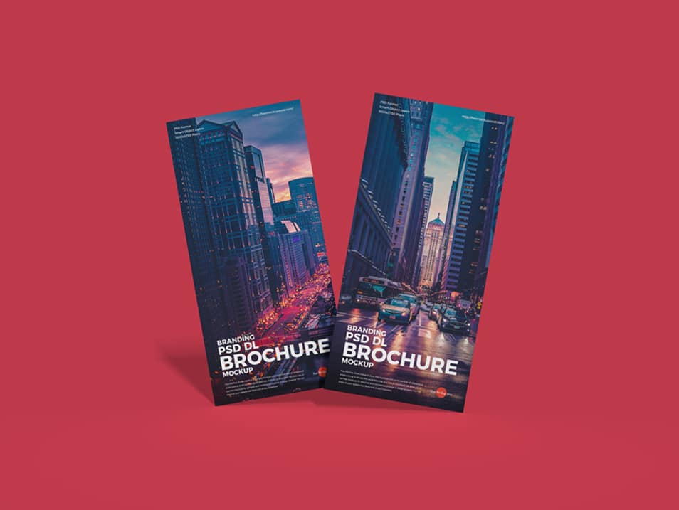 Free Branding PSD DL Brochure Mockup