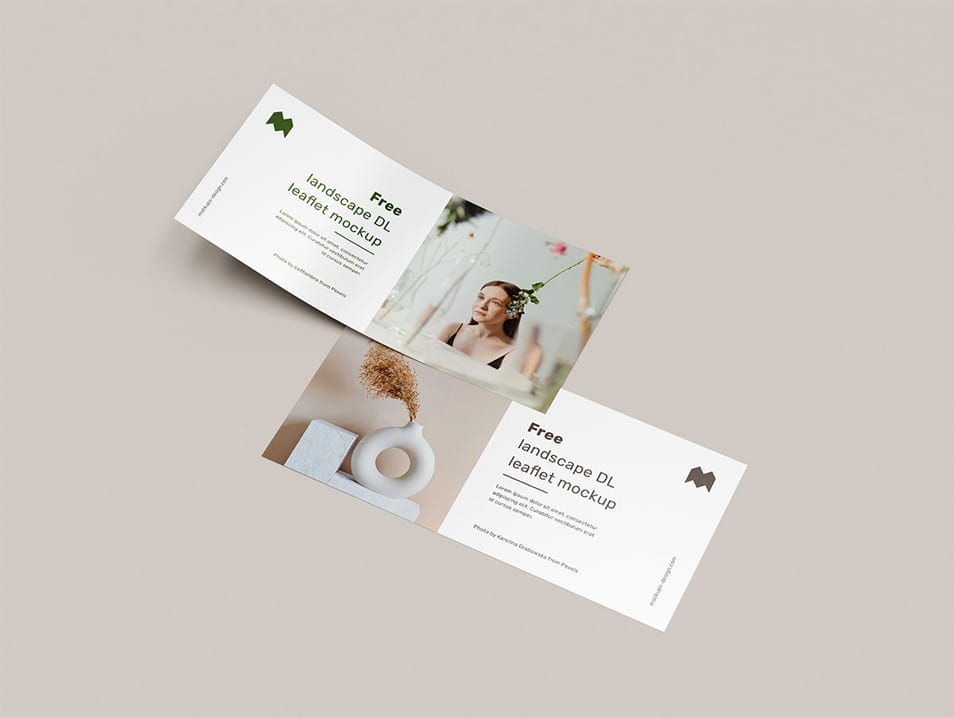 Free Landscape DL Leaflet Mockup