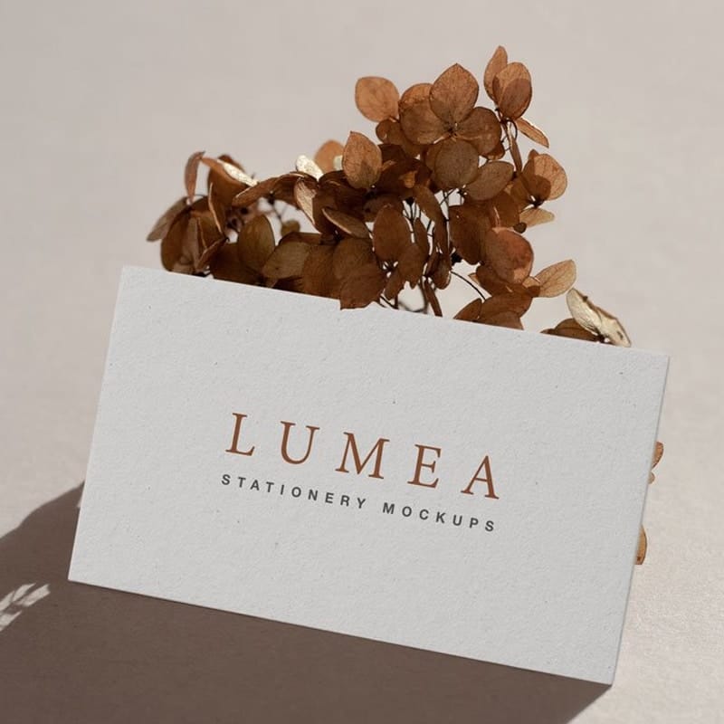 Lumea Free Stationery Mockup Set