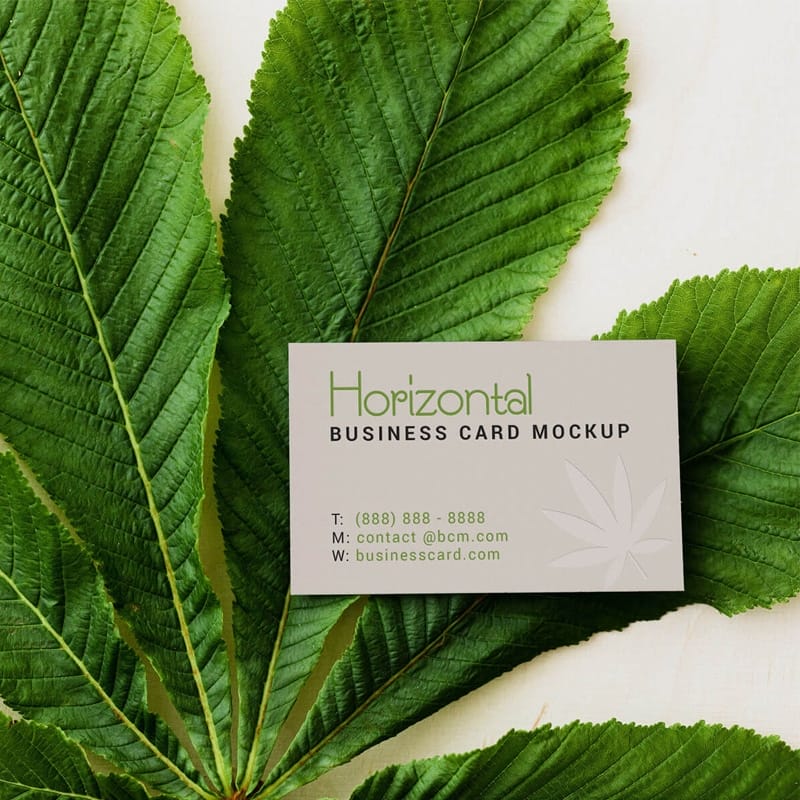 2 Free Horizontal & Vertical Business Card Mockup PSD Set