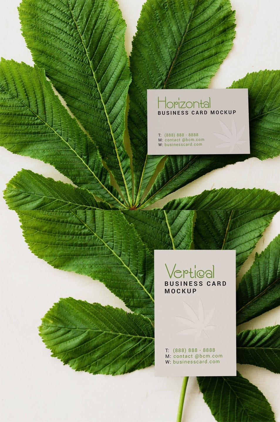 2 Free Horizontal & Vertical Business Card Mockup PSD Set