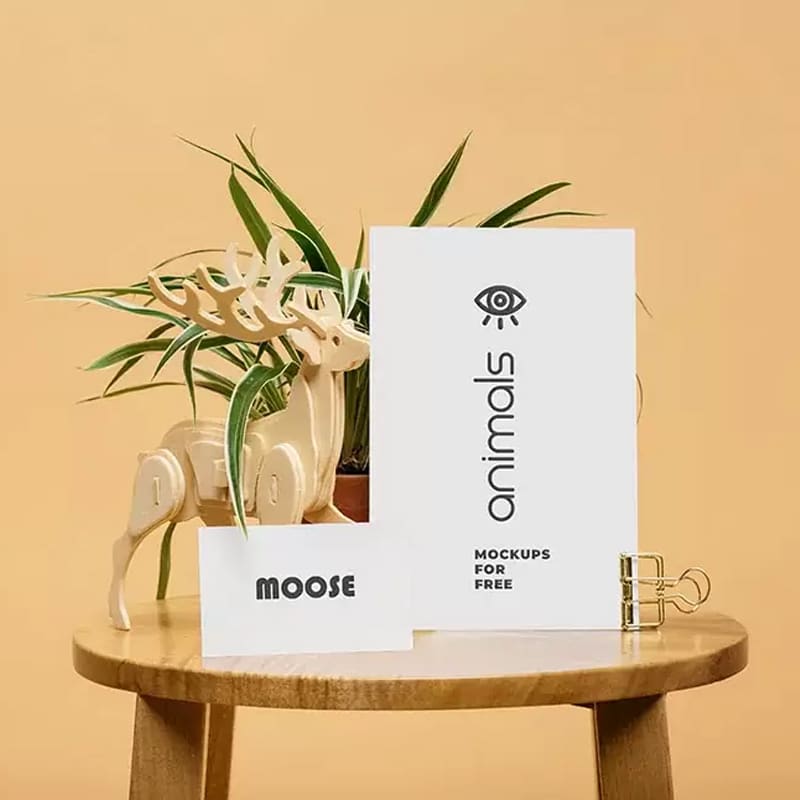 Paper Cards Mockup » CSS Author