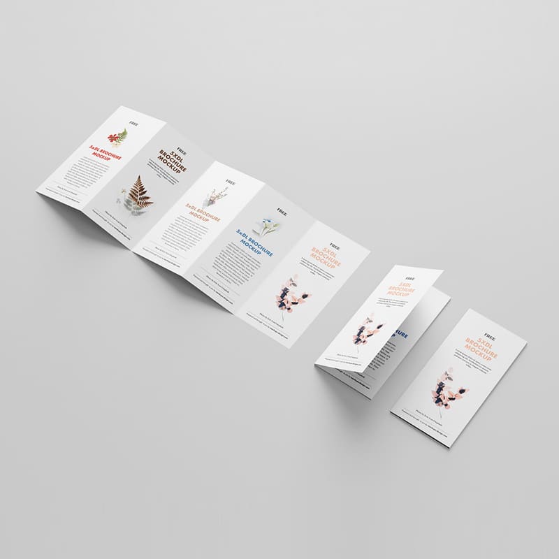Free 5xDL Leaflet Mockup