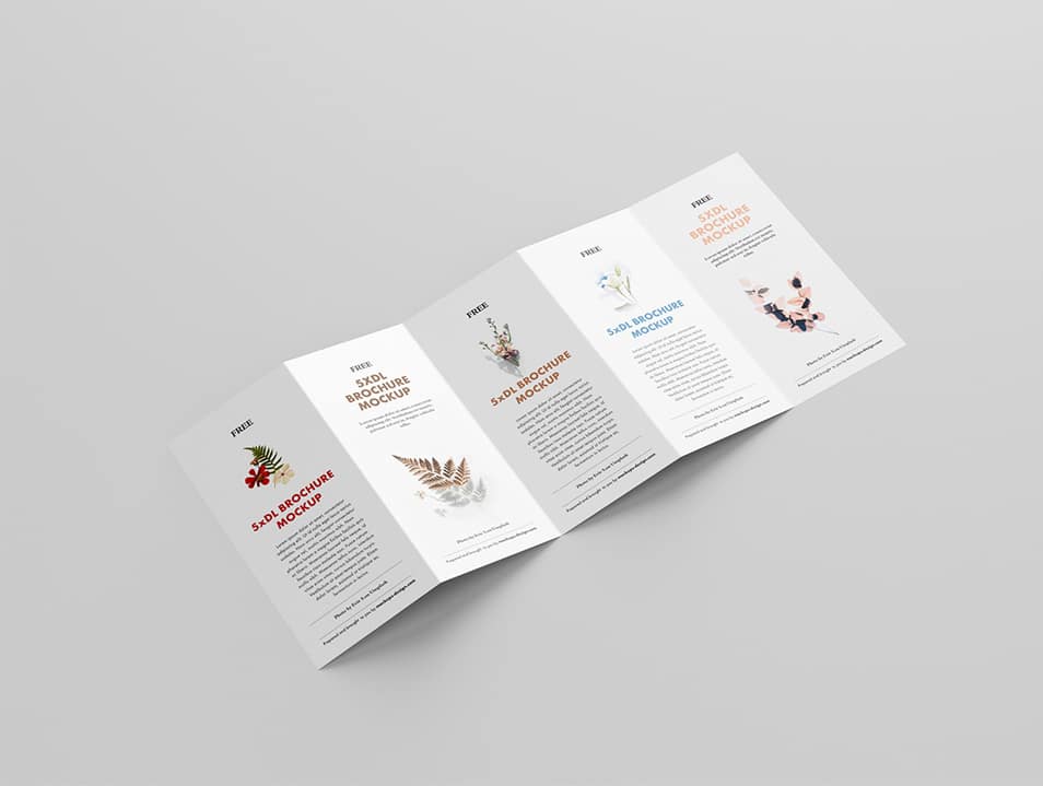 Free 5xDL Leaflet Mockup