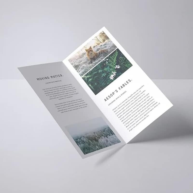 Free DL Bifold Mock-Up