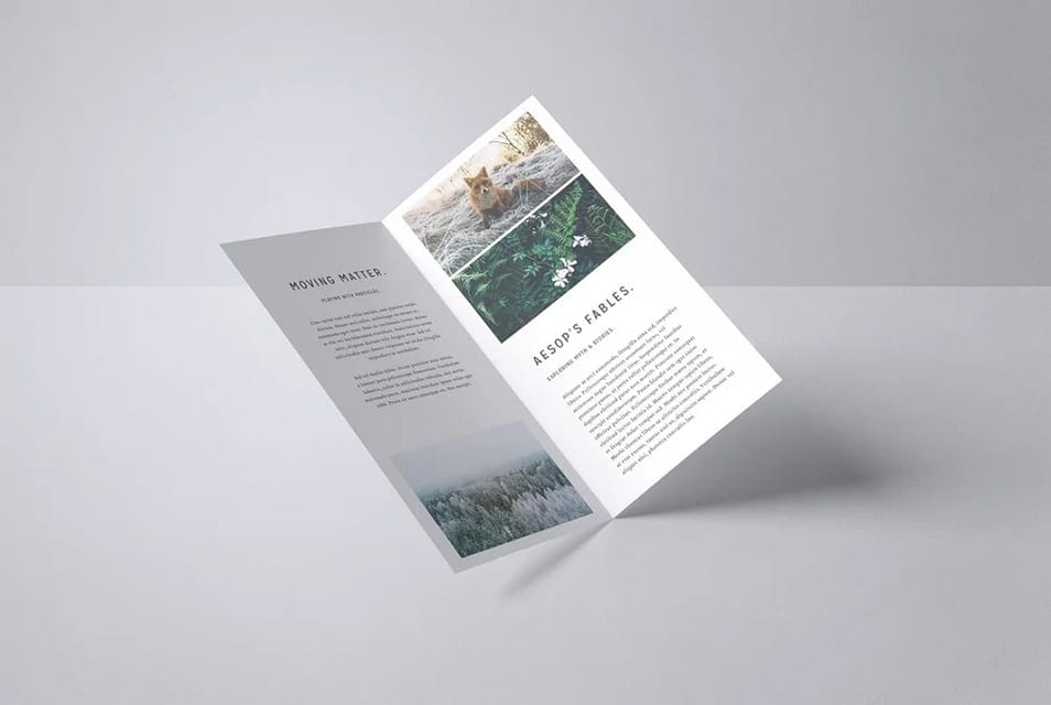 Free DL Bifold Mock-Up