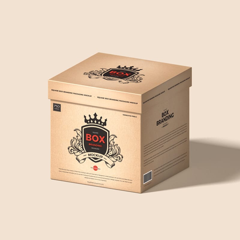 Free Square Box Branding Packaging Mockup
