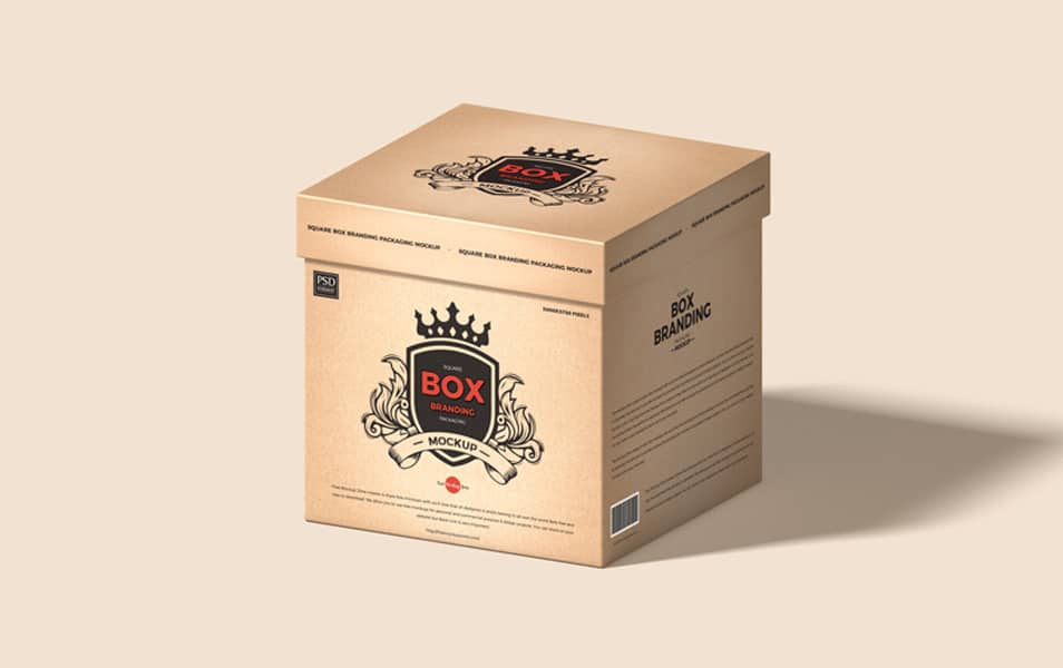 Free Square Box Branding Packaging Mockup