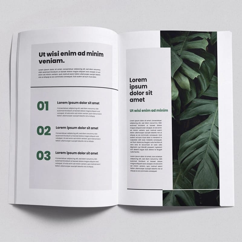 Free Topview Brochure Mockup