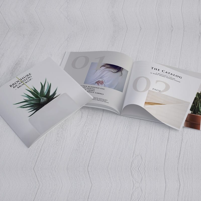 Square Catalog/Brochure Free Mockup PSD