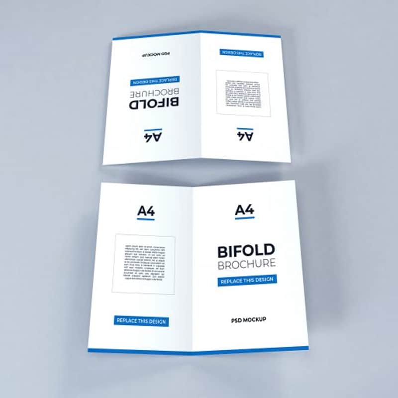 Bifold Brochure Template