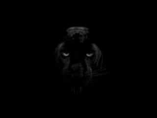 Collection of Excellent Dark Wallpapers