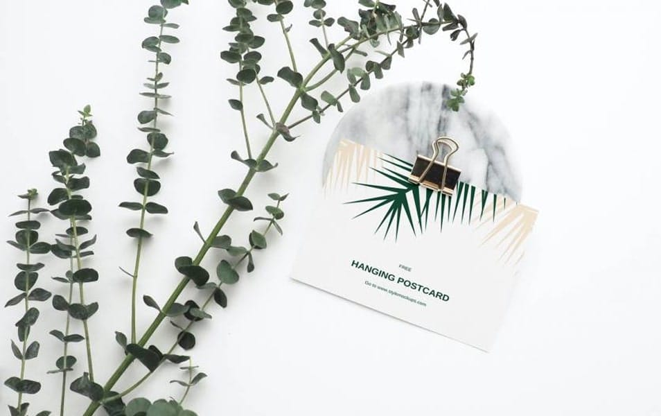 Free Hanging Postcard Mockup