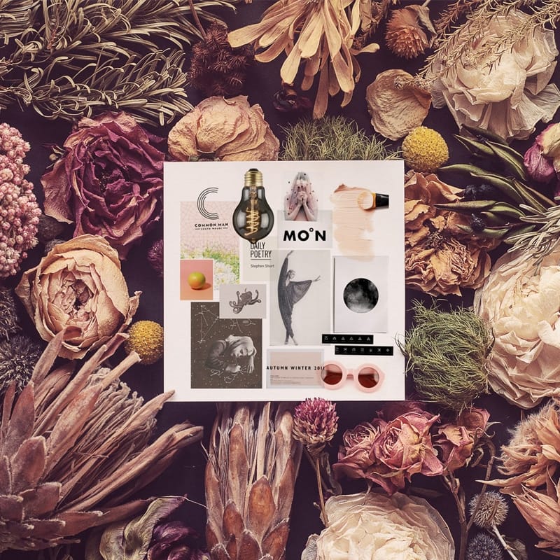 Bloom Flavor Top View Mockups