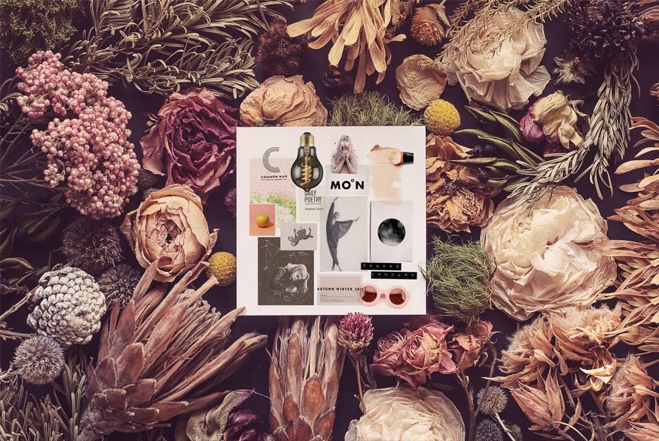 Bloom Flavor Top View Mockups