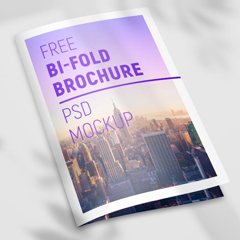 Free Bi-fold Brochure Mockup Set