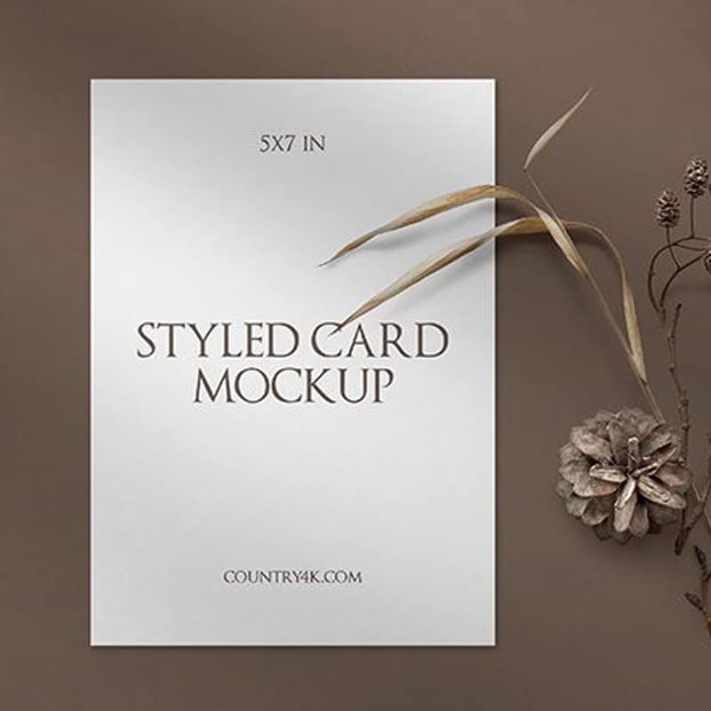 Free Styled Card Mockup