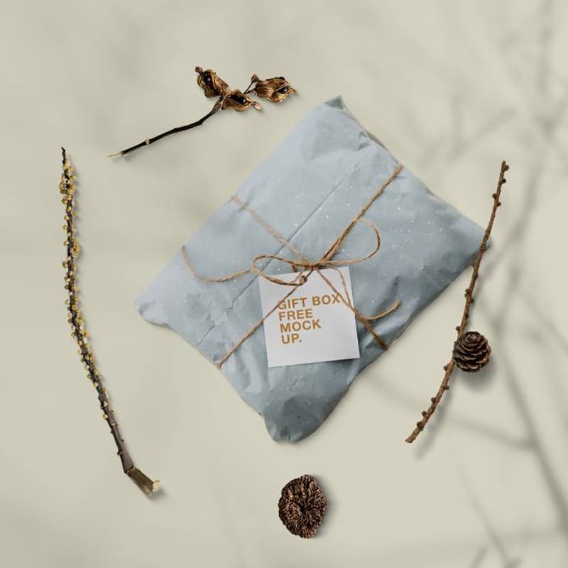 Gift Card in Pillow Free Mockup
