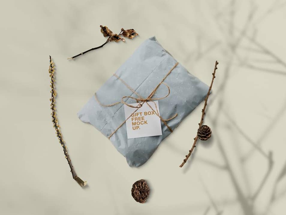 Gift Card in Pillow Free Mockup