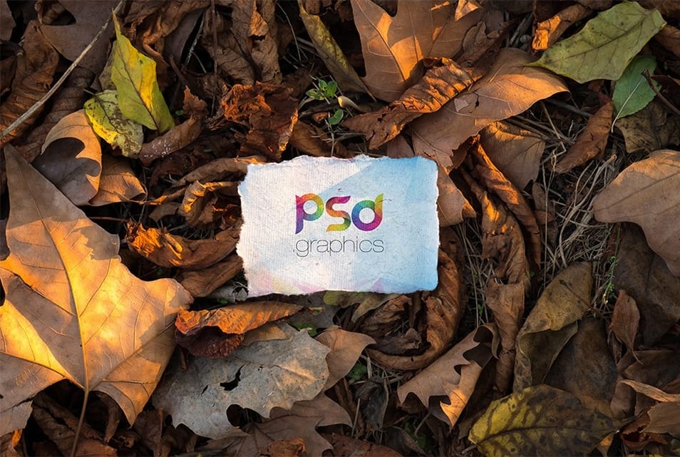 Logo Mockup PSD Template