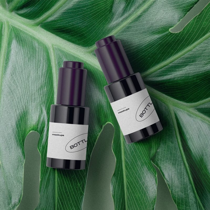 Packagings On A Large Leaf Mockup Top View