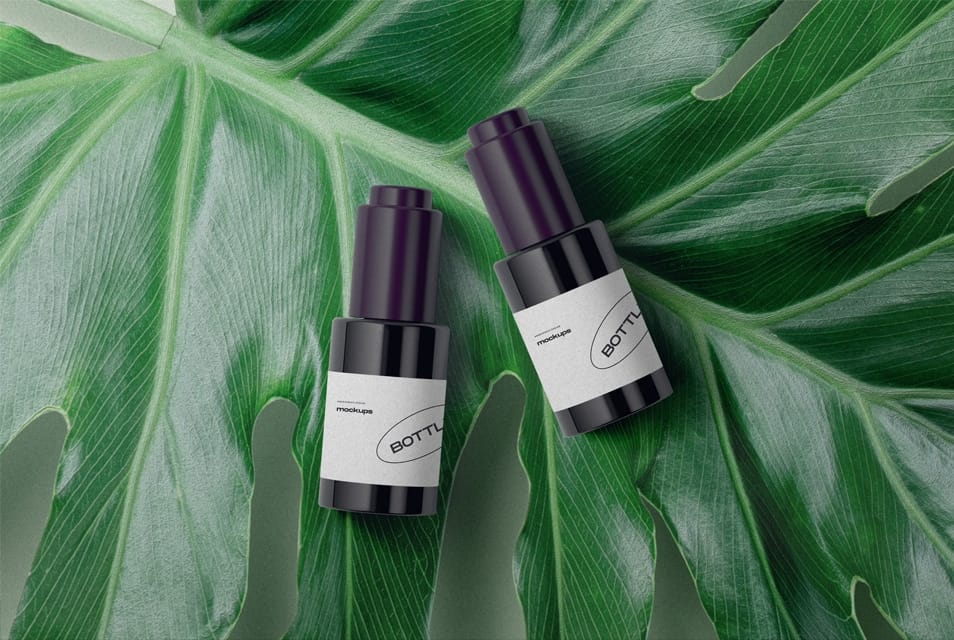 Packagings On A Large Leaf Mockup Top View