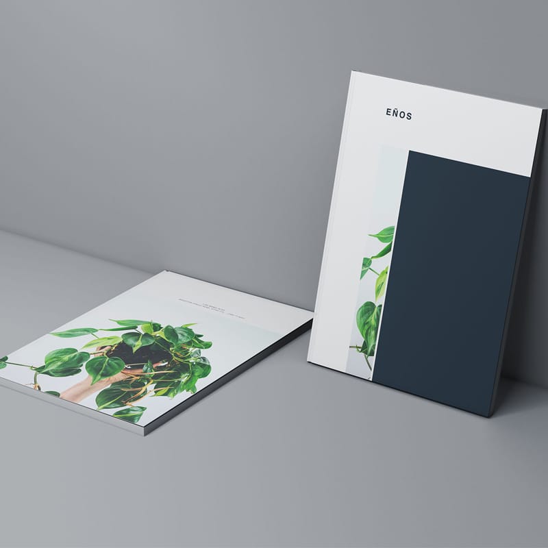 Two Magazine Covers Mockup