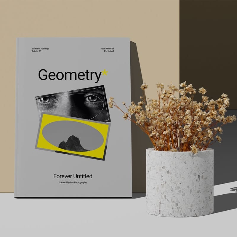 A4 Magazine Cover Mockup With Dry Plant Front View