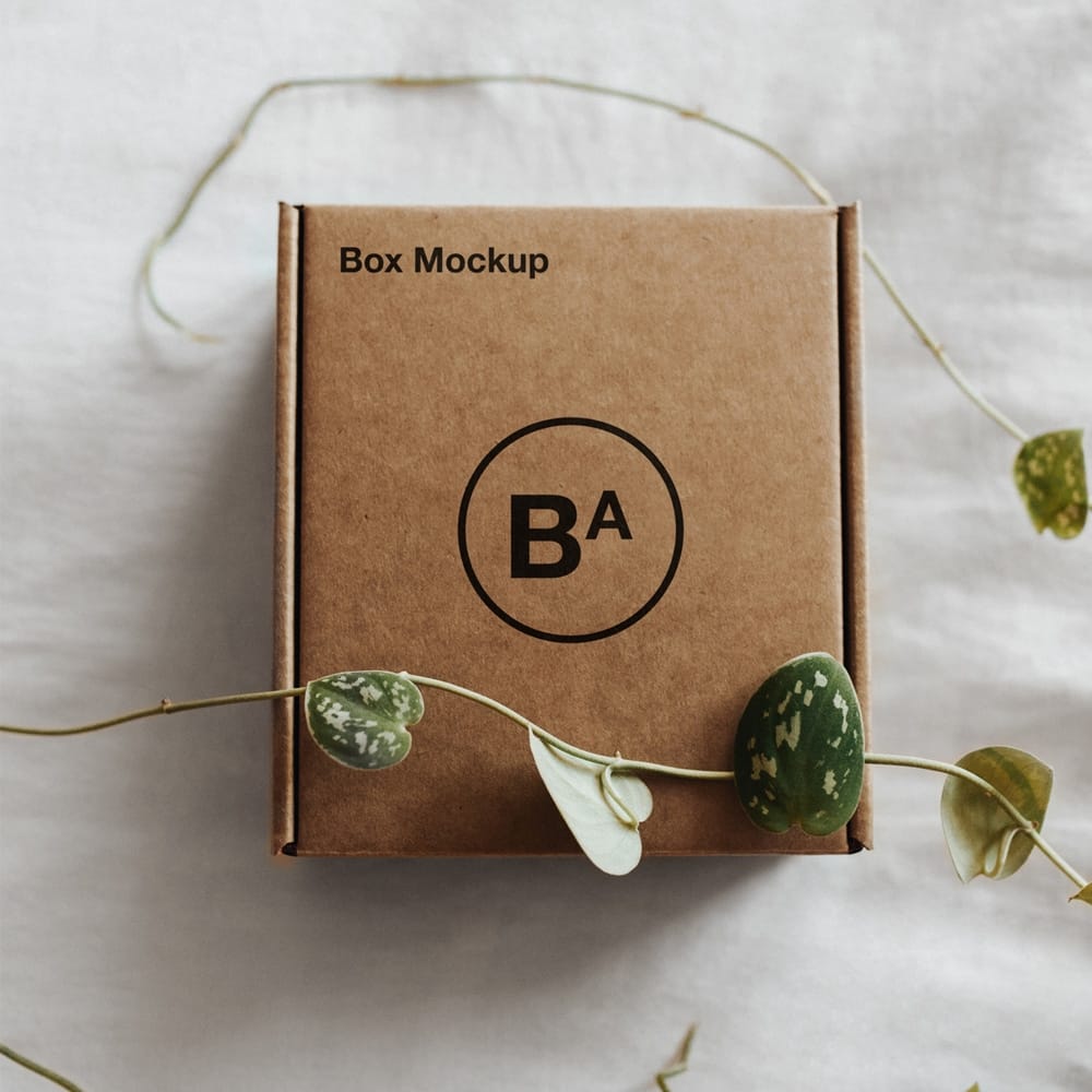 Craft Paper Box Mockup