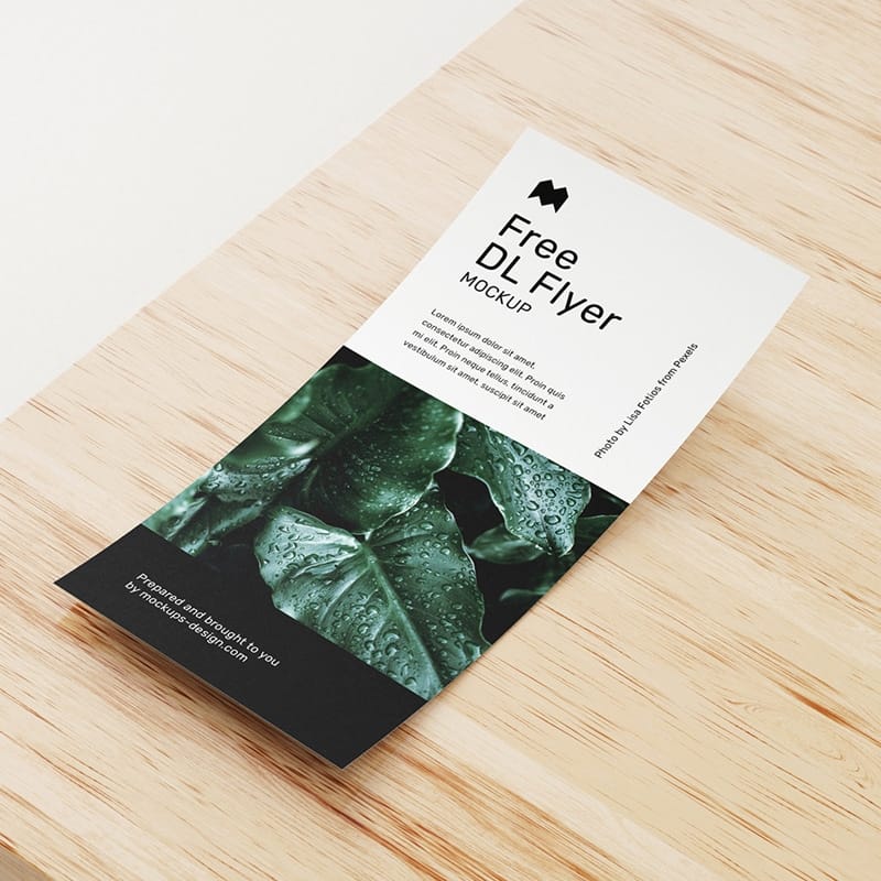 Free DL Flyer Mockup