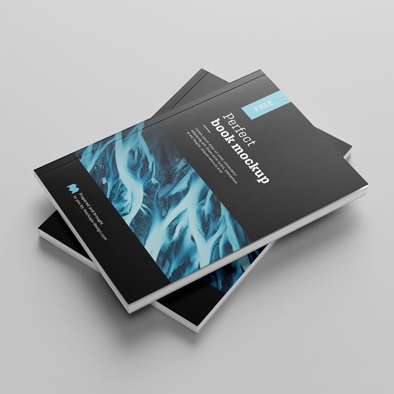 Free Book Mockup