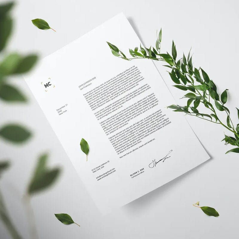 Floral Mockup Free Scene