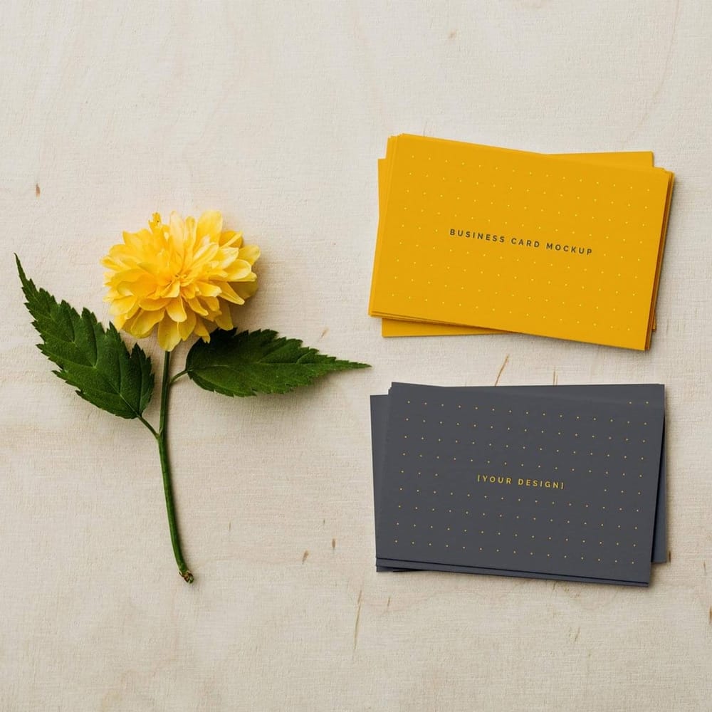 Free Front / Back Business Card Mockup PSD