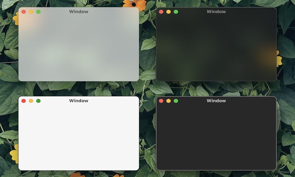 macOS Big Sur Windows