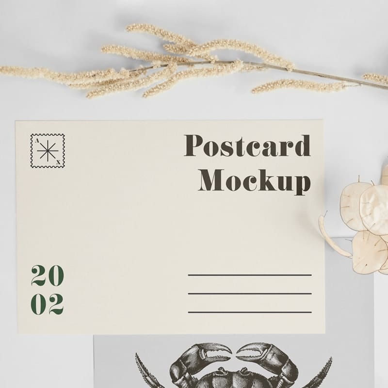 A5 Postcard with Envelope Mockup