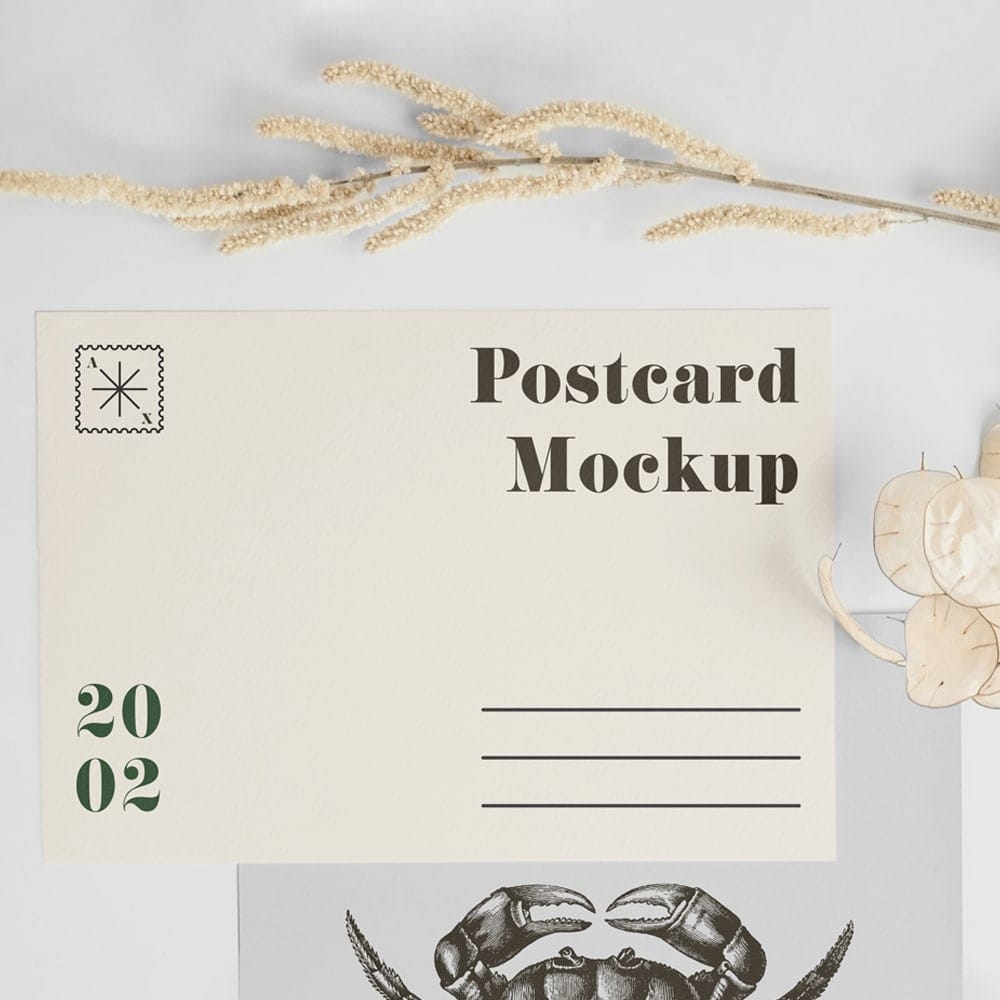 A5 Postcard with Envelope Mockup