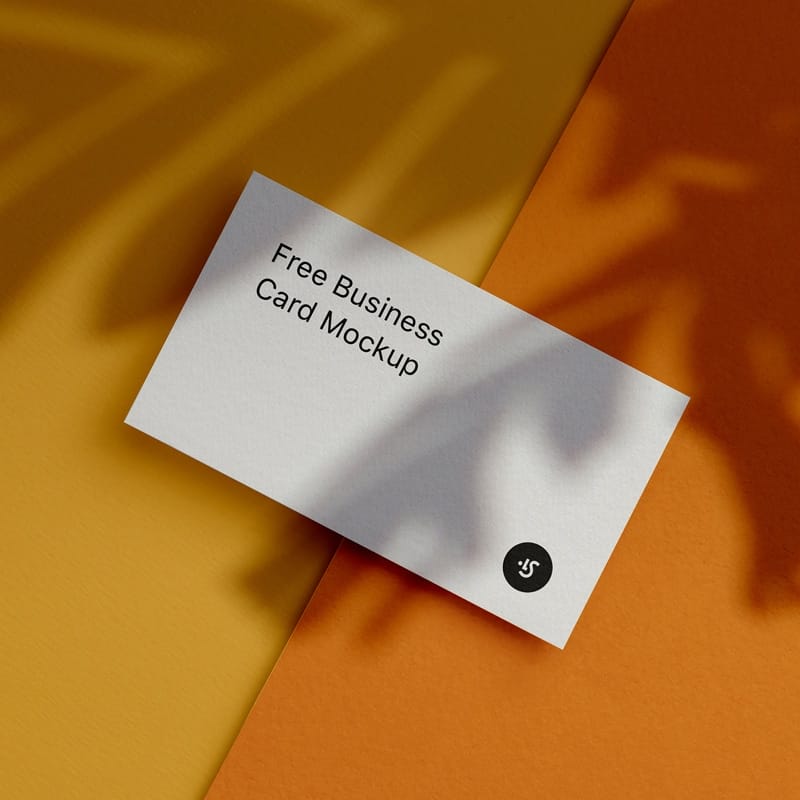 Free Changeable Сolors Business Cards Mockups