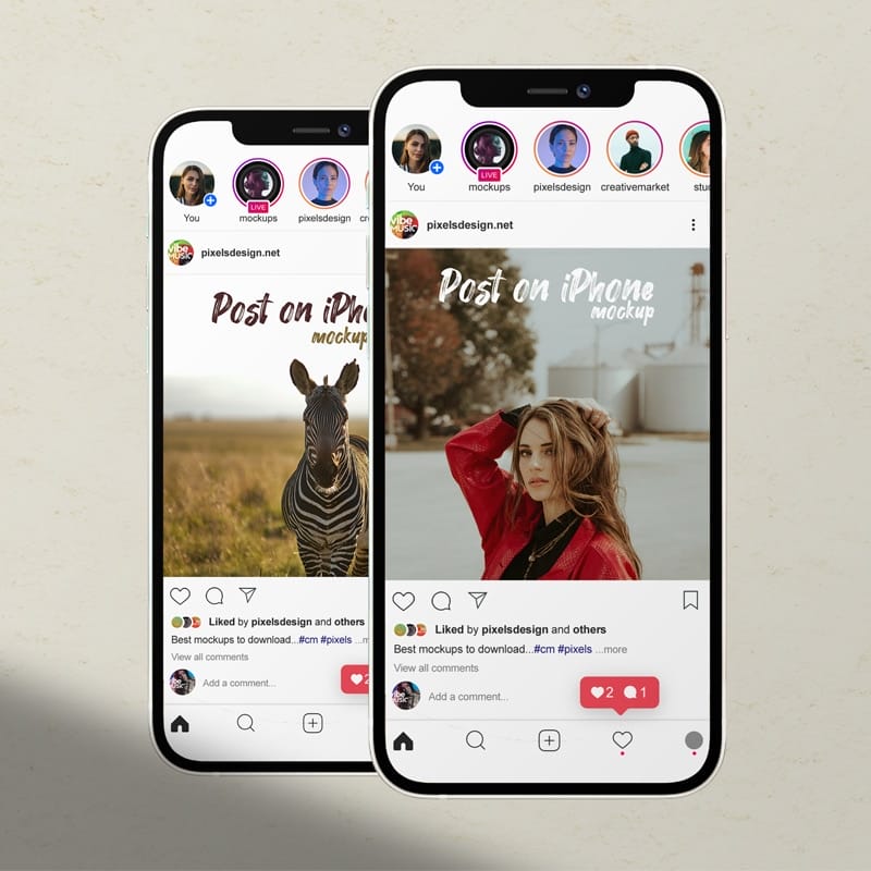 Free Instagram on iPhone 12 Mockup