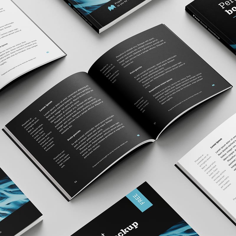 Free Square Book Mockup