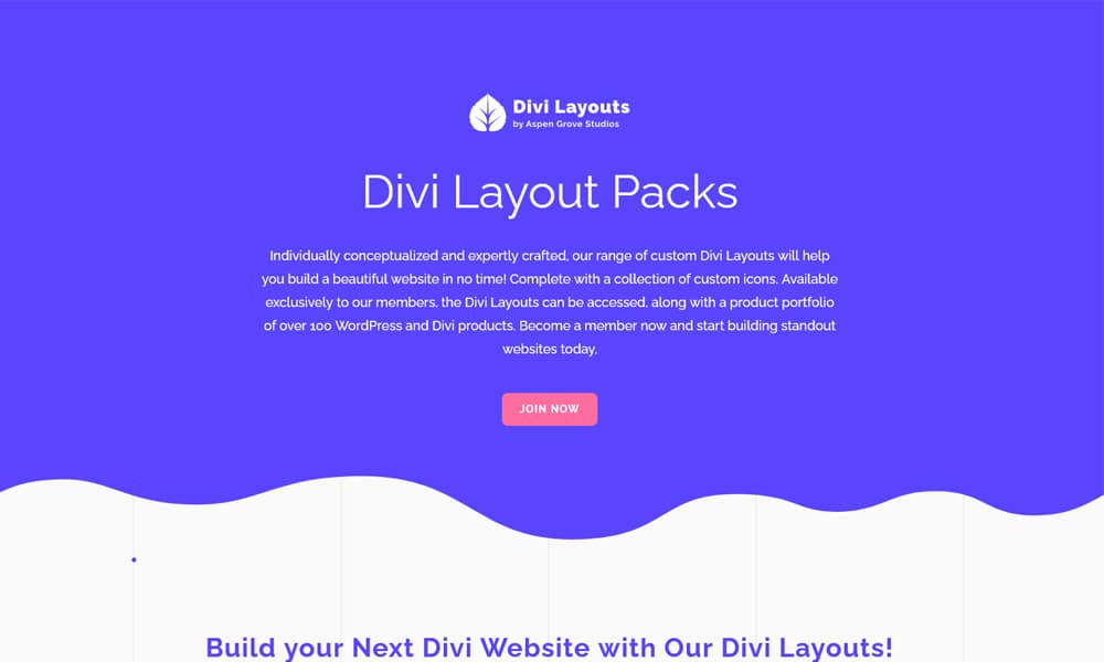 20+ Best Free Divi Layouts 2024 1