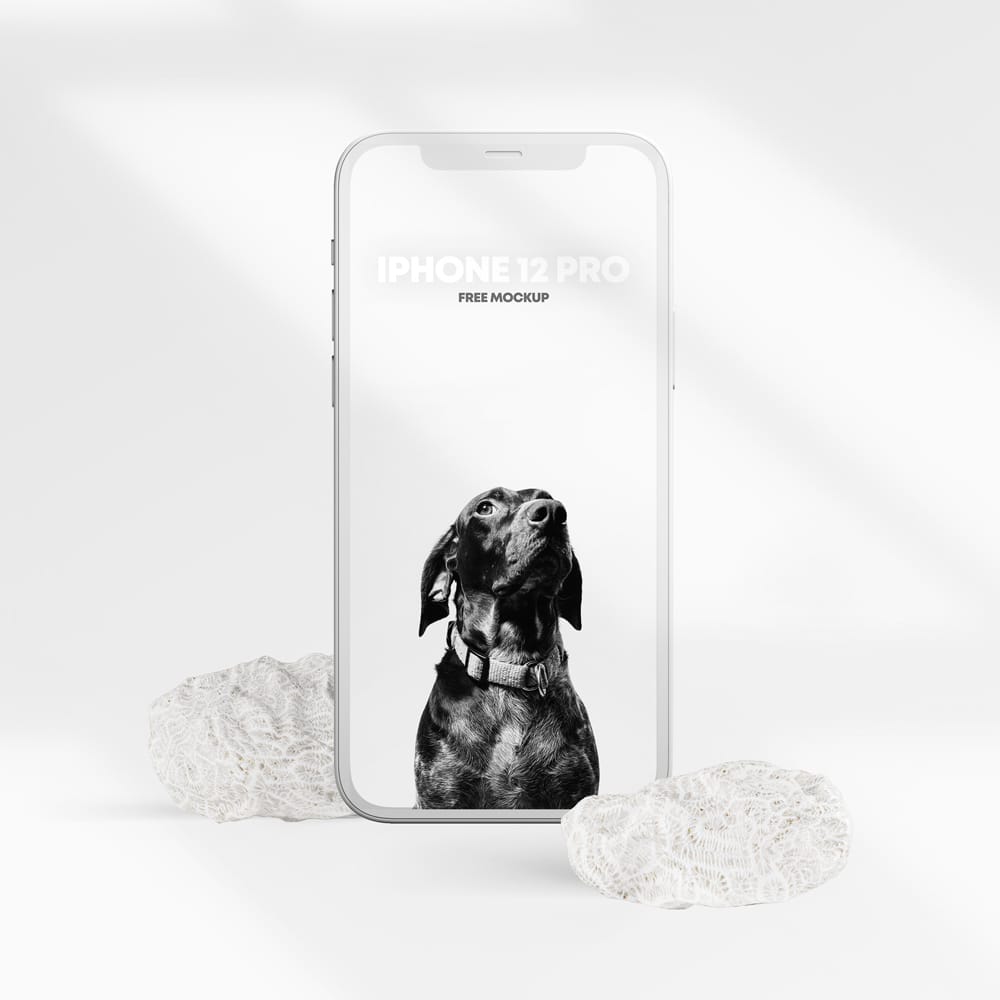 iPhone 12 Pro Clay Scene Free Mockup